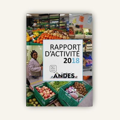 Rapport d'activité 2018