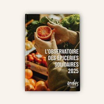 Observatoire des épiceries solidaires 2025